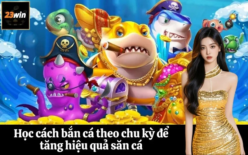 Học cách bắn cá theo chu kỳ để tăng hiệu quả săn cá